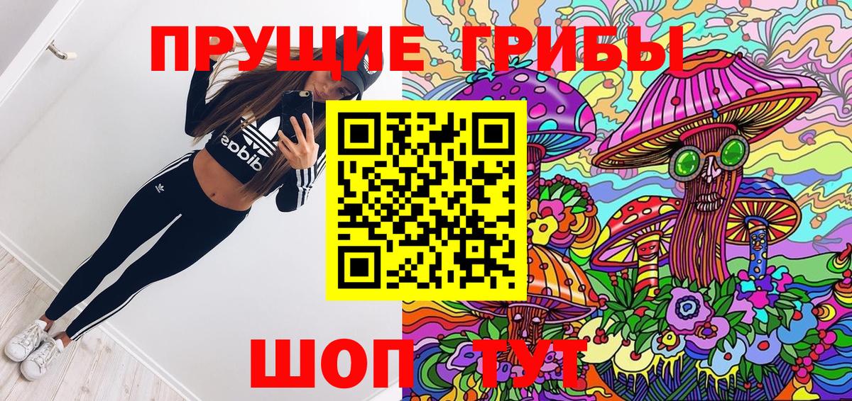 Псилоцибиновые грибы мухоморы Сосновый Бор